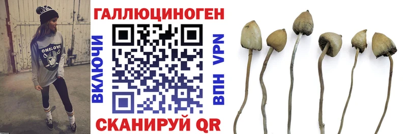 KRAKEN как войти  Ясногорск  Псилоцибиновые грибы MAGIC MUSHROOMS  купить закладку 